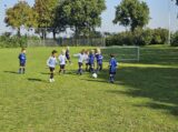 Mini Toernooitje op Sportpark Het Springer met S.K.N.W.K. JO7 en De Jonge Spartaan JO7 (84/174)